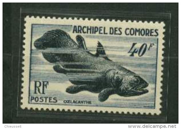 Comores ** N° 13 - Faune Marine . Coelacanthe - Unused Stamps