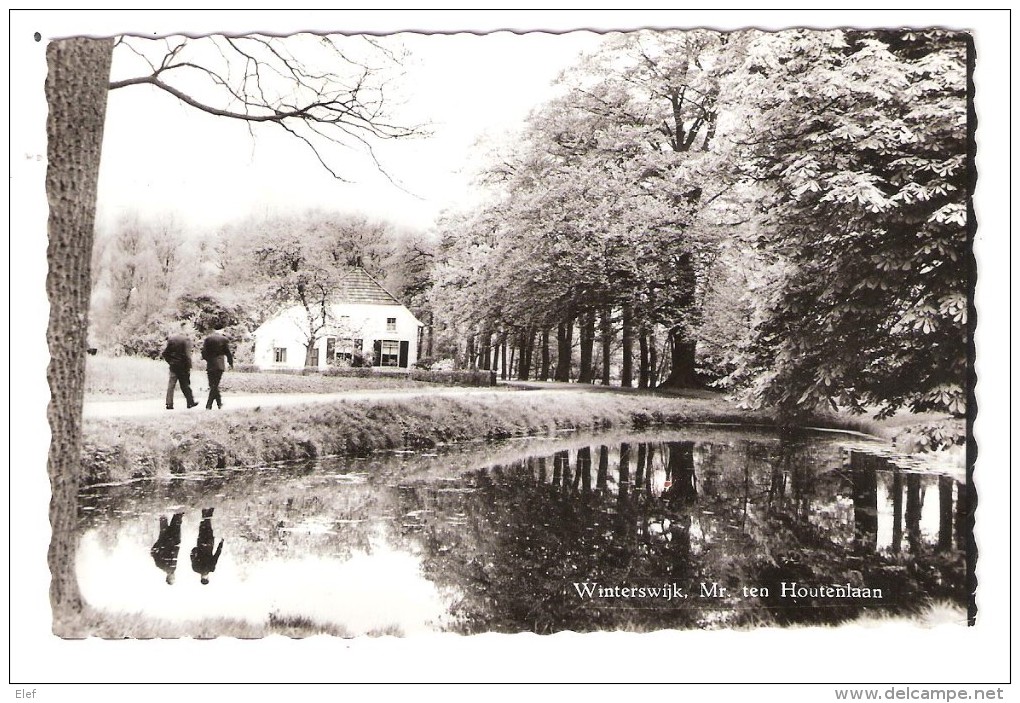 WINTERSWIJK , Gelderland, Nederland ; Mr Ten Houtenlaan ; Années 50, Animée ,TTB !!!!!! - Winterswijk