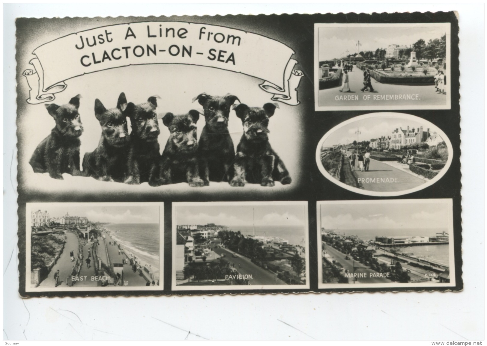 Angleterre : Just A Line From CLACTON ON SEA (multivues)Scotsh Terrier - Clacton On Sea