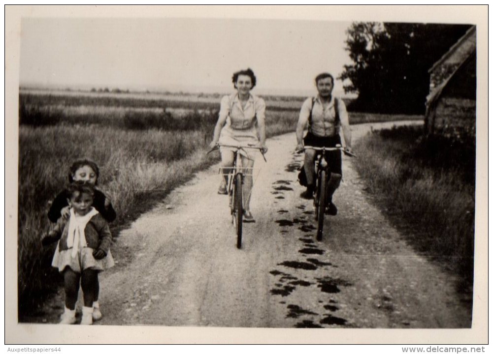 Photo Originale Vélo - Promenade à Vélos Pour Les Parents Et Enfants Piétons à La Campagne - - Cyclisme