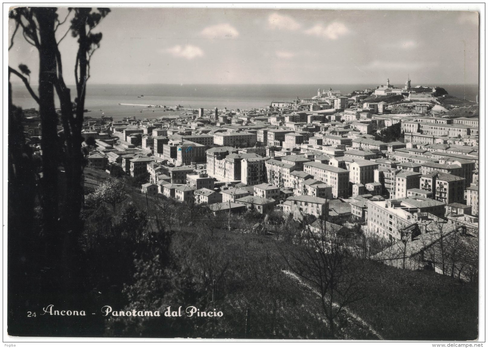 ZD54     Ancona - Panorama Dal Pincio - Ancona