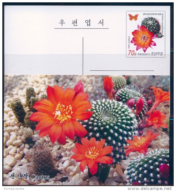 NORTH KOREA 2011 CACTUS &amp; BUTTERFLY POSTCARD MINT - Cactus