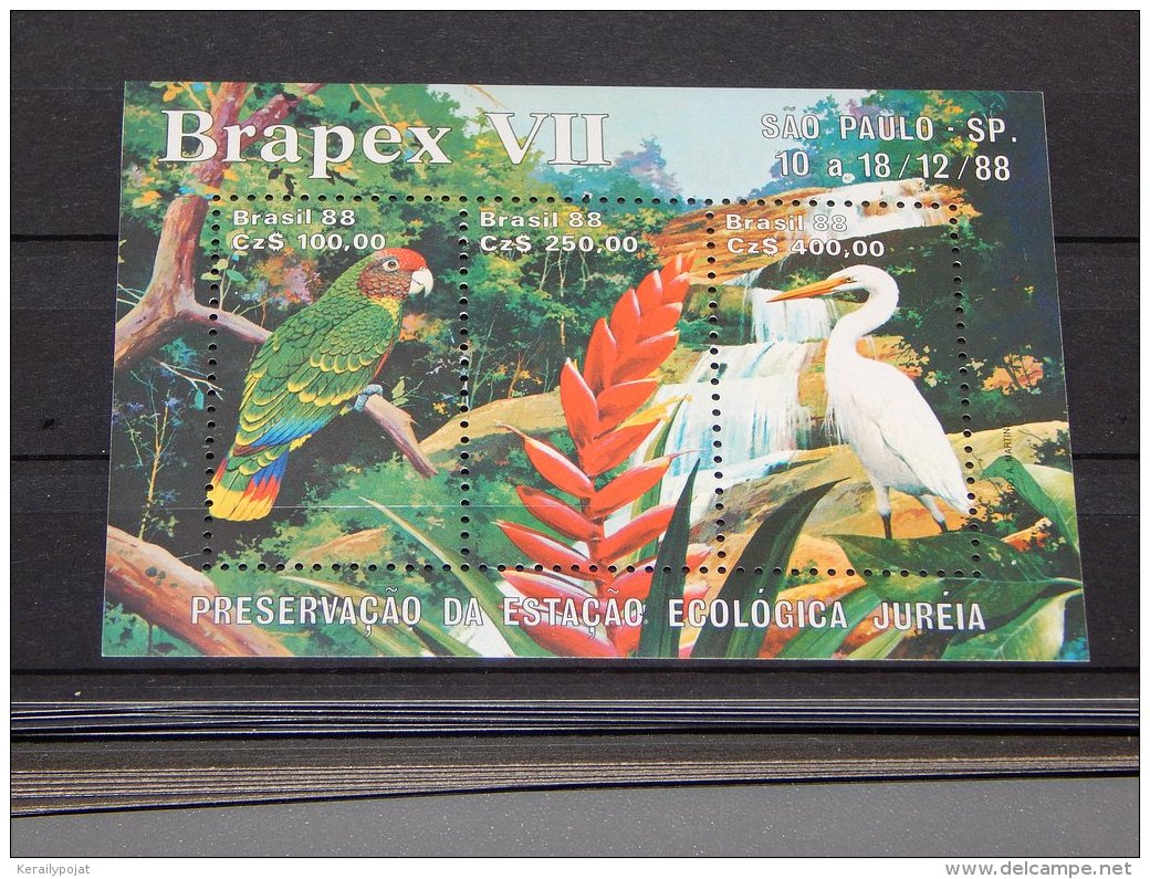 Brazil - 1988 BRAPEX '88 Block MNH__(TH-14926) - Blocks & Sheetlets