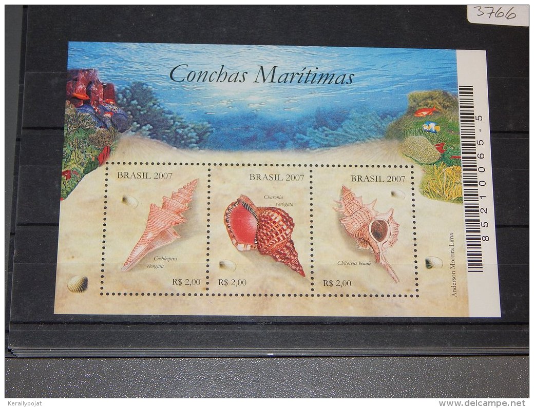 Brazil - 2007 Shells Block MNH__(TH-3766) - Blocks & Sheetlets