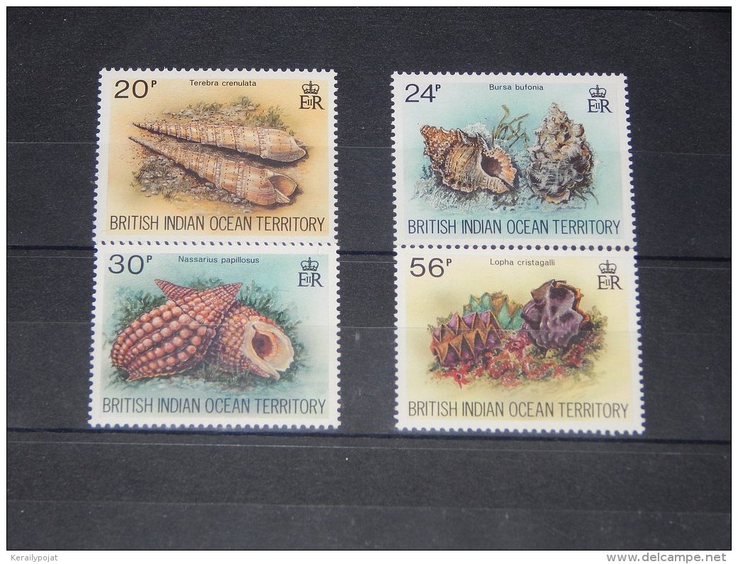 British Indian Ocean - 1996 Shells And Clams MNH__(TH-3210) - Territoire Britannique De L'Océan Indien