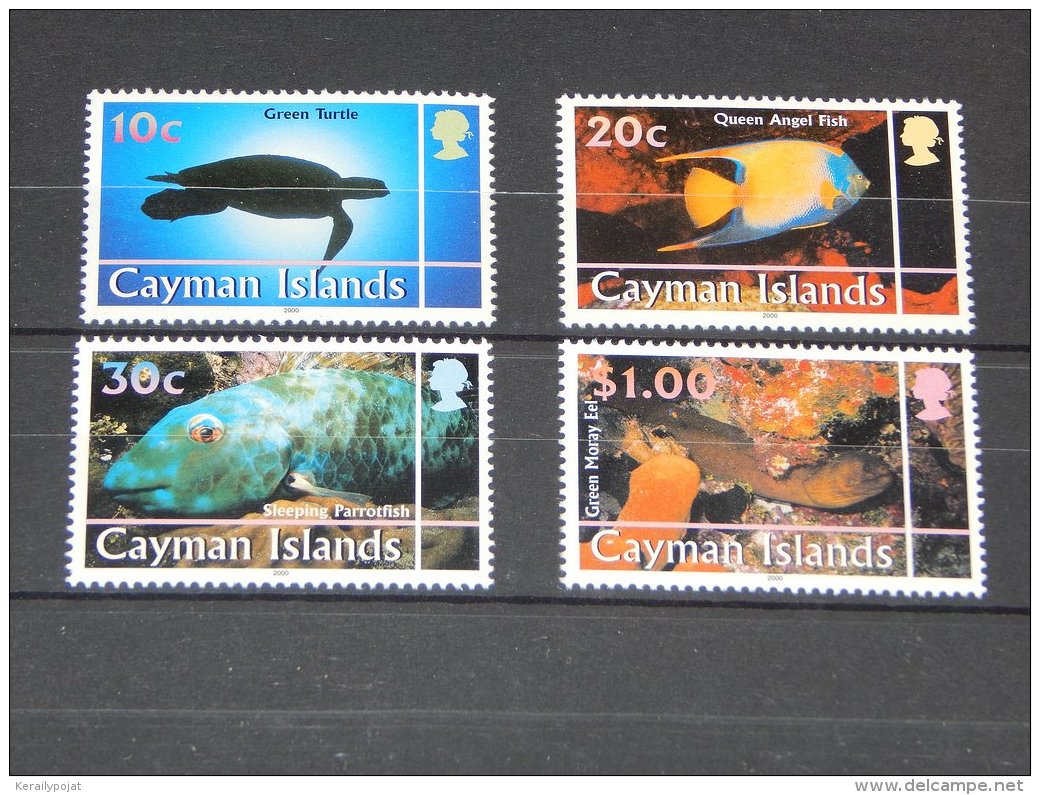 Cayman Islands - 2000 Marine Animals MNH__(TH-11545) - Caimán (Islas)