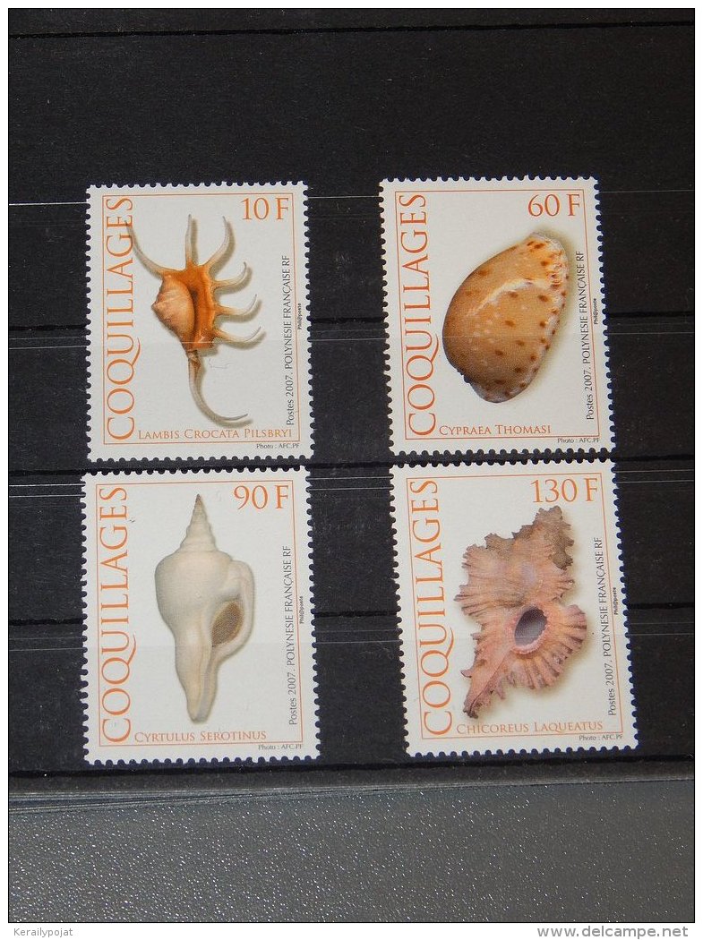 French Polynesia - 2007 Marine Gastropods MNH__(TH-24) - Nuevos