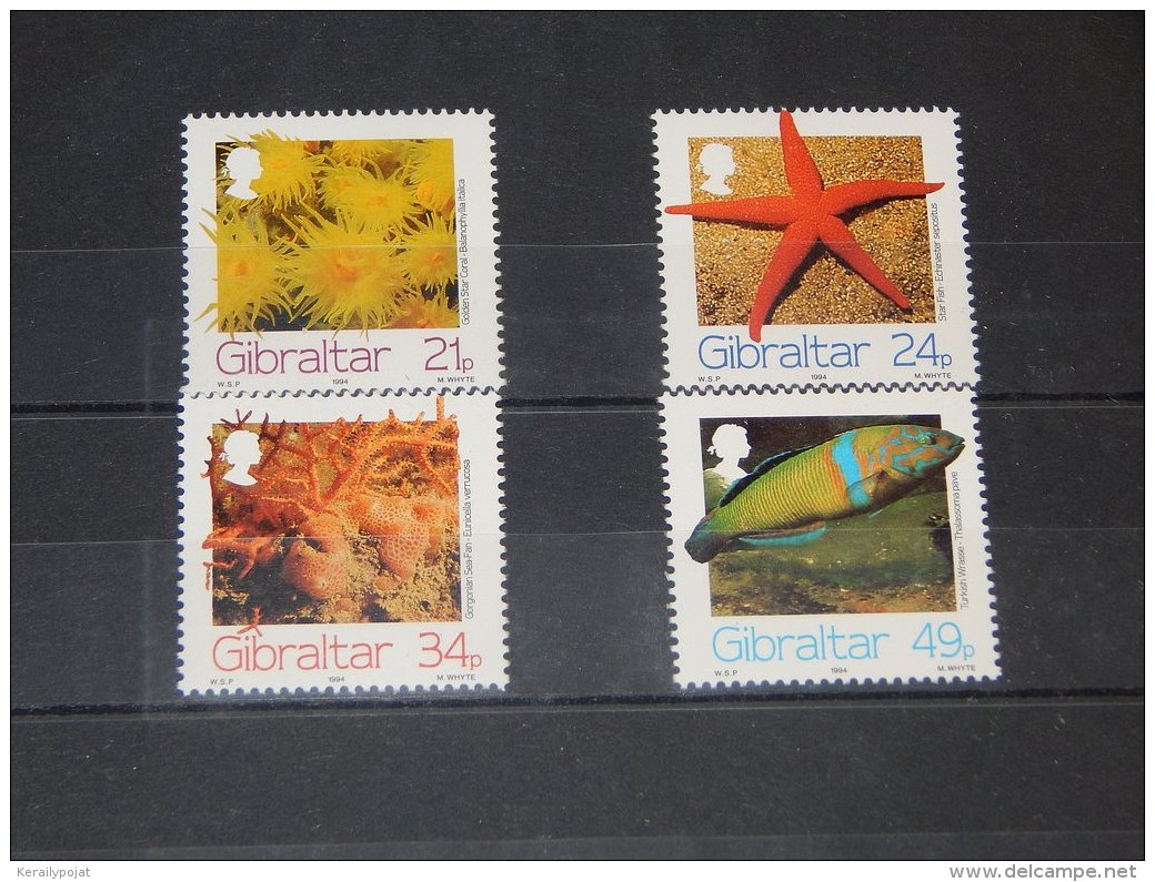 Gibraltar - 1994 Marine Animals MNH__(TH-9815) - Gibraltar