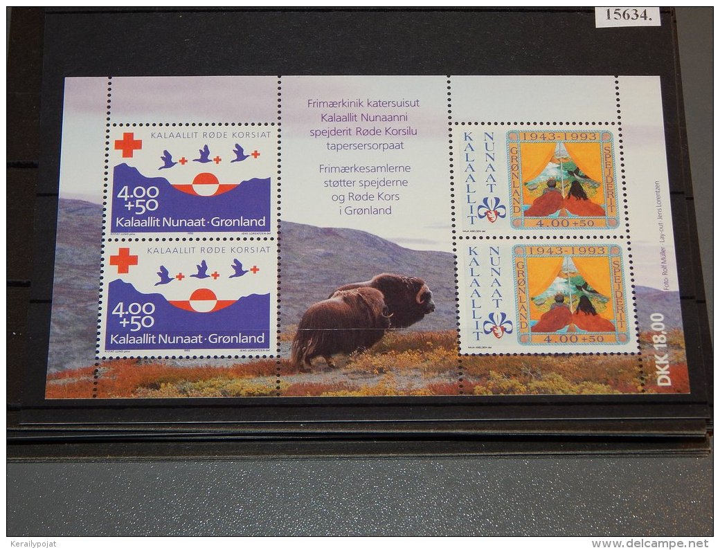 Greenland - 1993 Red Cross Block MNH__(TH-15634) - Blocks & Sheetlets