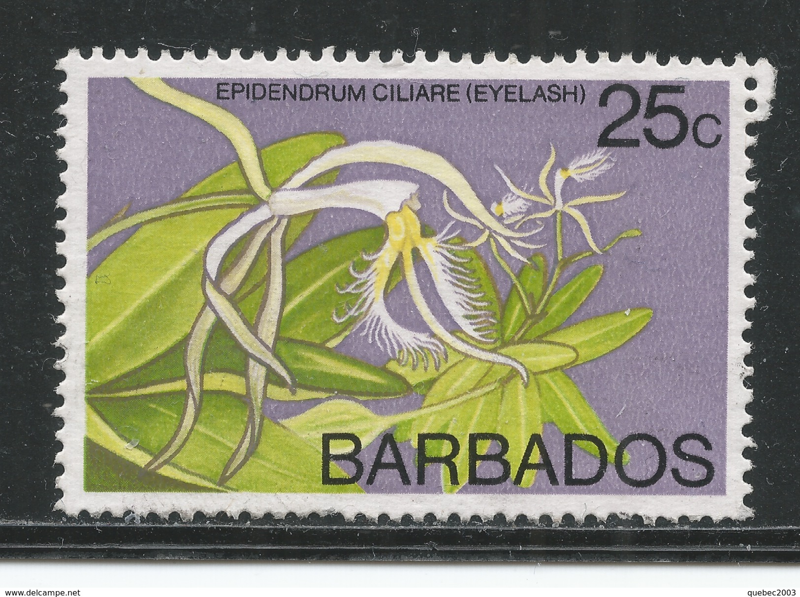 Barbados 1974. Scott #405 (M) Flower, Orchids: Eyelash * - Barbados (1966-...)