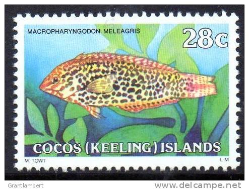 Cocos Islands 1979 Fishes 28c Guinea-fowl Wrasse MNH  SG 40a - Cocos (Keeling) Islands