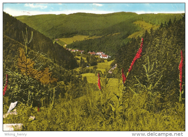 Herzberg Am Harz Sieber - Blick Vom Königsberg - Herzberg