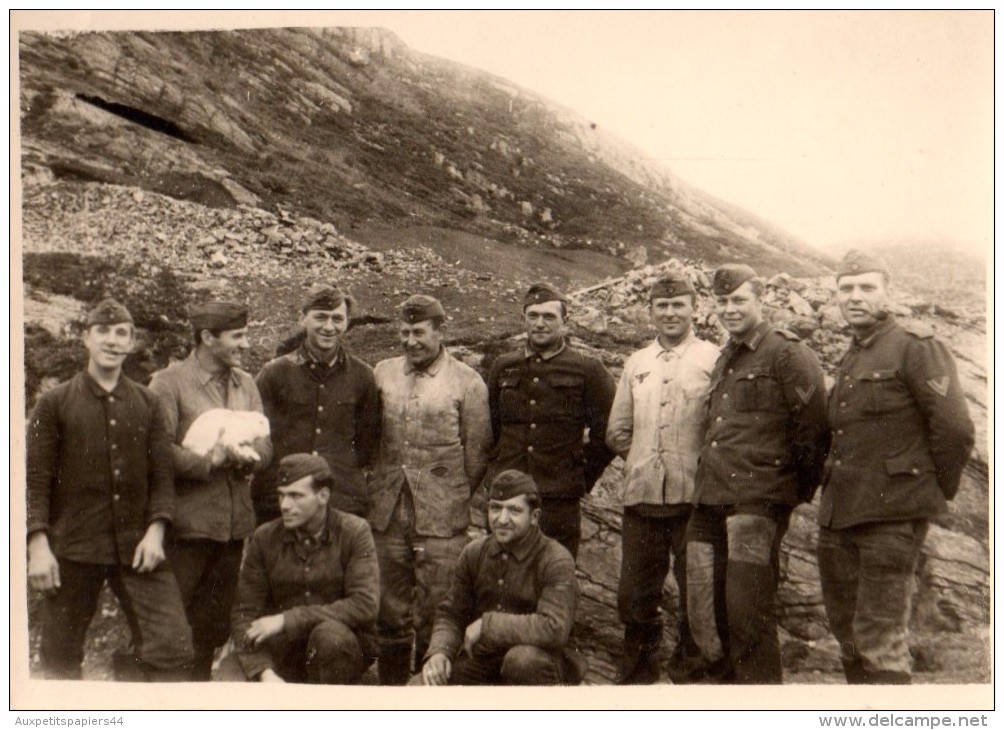 Photo Originale Guerre 39-45 - Soldats Allemands Dans Les Montagnes Avec Lapin Blanc - Légende Au Dos - - Guerre, Militaire