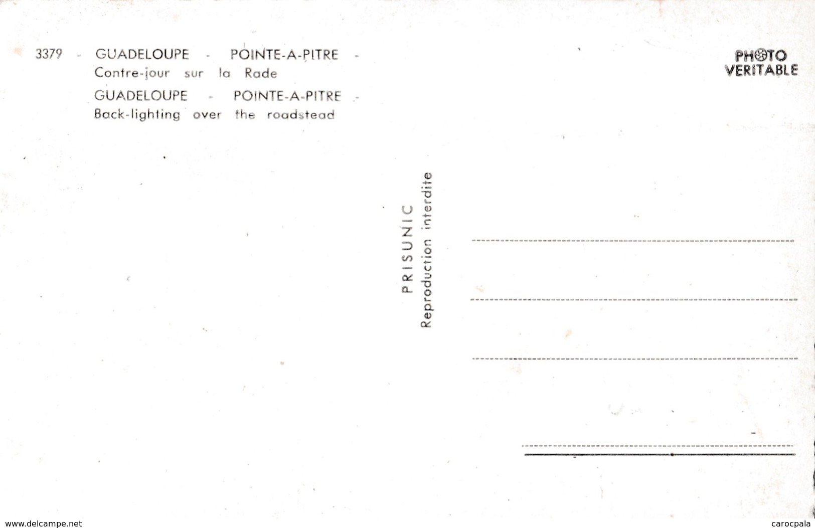 Carte 1950 POINTE A PITRE / CONTRE JOUR SUR LA RADE / VOILIER - Pointe A Pitre