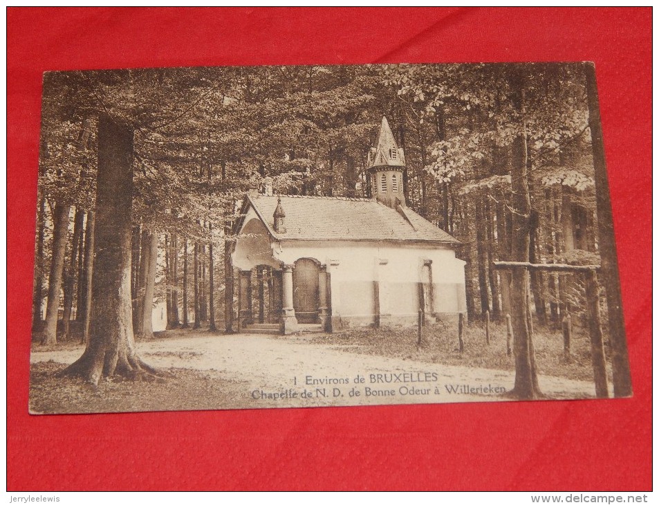 HOEILAART  - FORÊT DE SOIGNES -  Chapelle De N. D. De Bonne Odeur à Willerieken  -  (2 Scans) - Hoeilaart