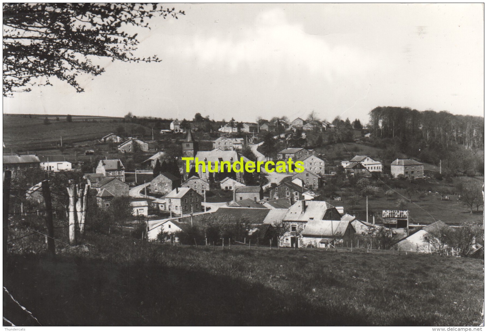 CPSM  CARTE DE PHOTO DOCHAMPS PANORAMA DU VILLAGE PRIS DE BIERTOUMONT - Manhay