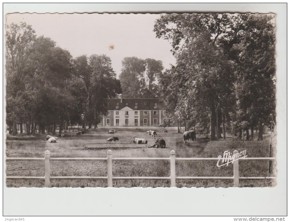 CPSM CHARMOY (Yonne) - Domaine Des Charmeaux Groupe De Taureaux De L'Ubnion Des Coopératives D'Elevage - Charmoy