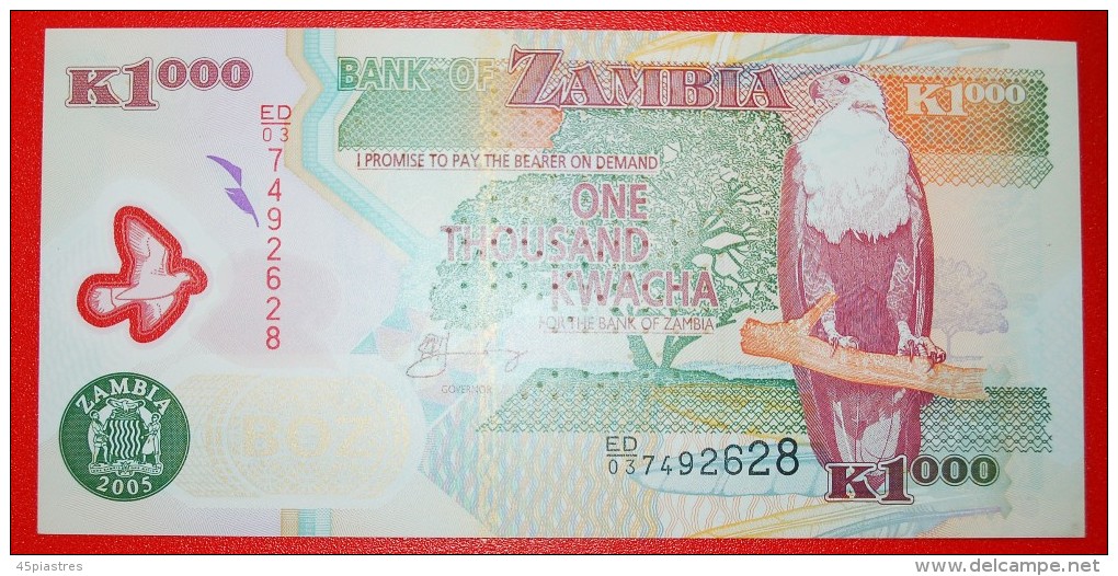 § FISH EAGLE: ZAMBIA &#9733; 1000 KWACHA 2005 PLASTIC UNC CRISP! LOW START&#9733;NO RESERVE! - Zambia