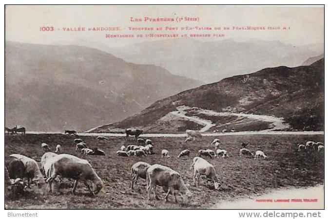 CPA ANDORRE  Non Circulé Moutons - Andorre