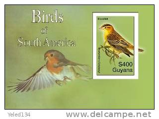 GUYANA   3959 MINT NEVER HINGED SOUVENIR SHEET OF BIRDS   #  0615-3    ( - Autres & Non Classés