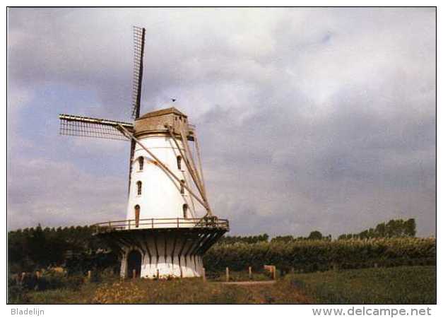 OORDEGEM - Lede (O.Vl.) - Molen/moulin - De Fauconniersmolen Na De Brand Van 1976 En Kort Na De Restauratie (1984) - Lede