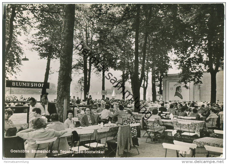 Berlin Tegel - Gaststätte Blumeshof - Besitzer Paul Targatsch - Foto-Ansichtskarte - Tegel