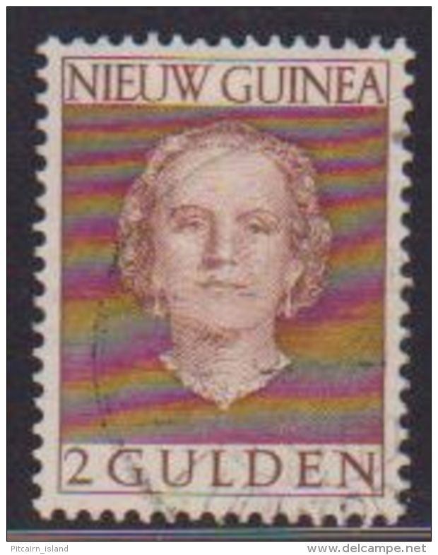 Nederlands Nieuw Guinea NVPH Nr.  19  Used - Nederlands Nieuw-Guinea