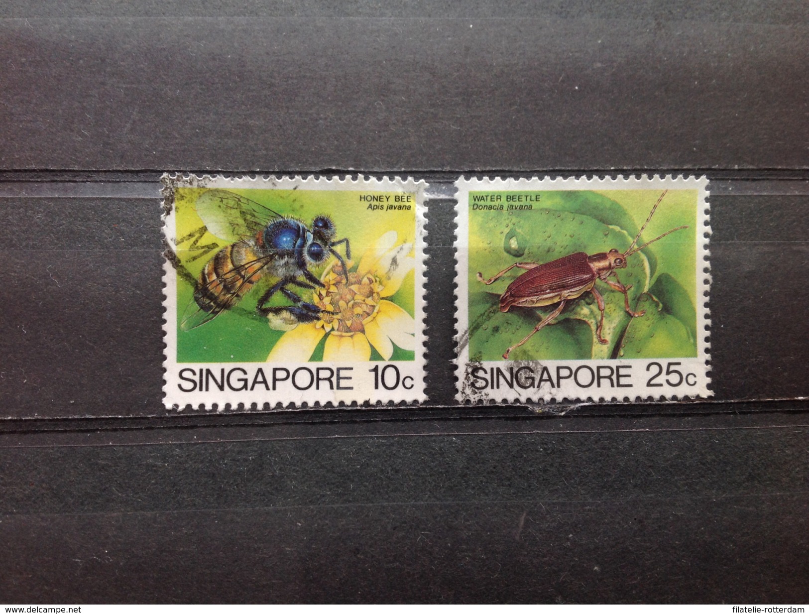 Singapore - Serie Insecten 1985 - Singapore (1959-...)