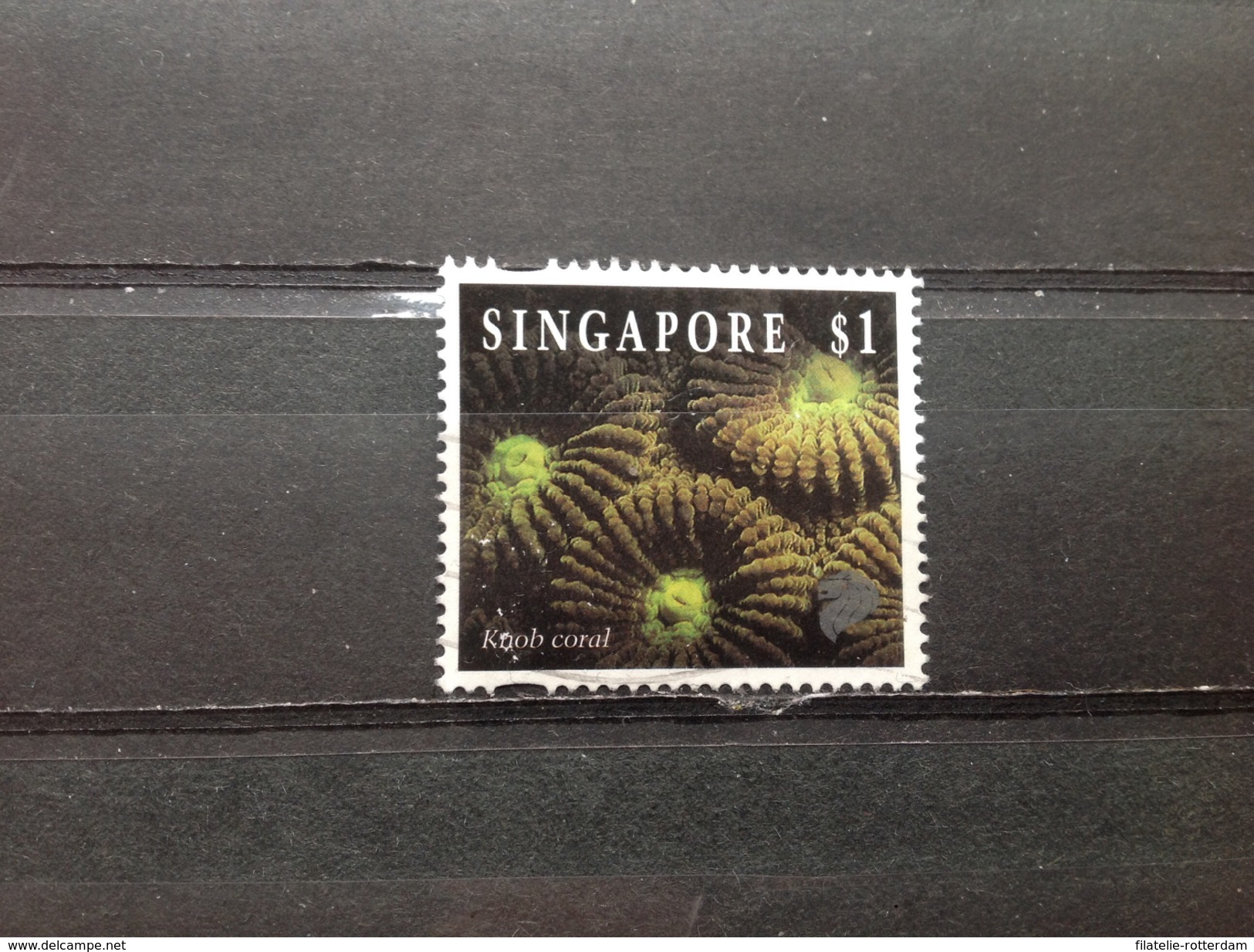 Singapore - Leven Op Het Koraalrif (1) 1996 - Singapore (1959-...)