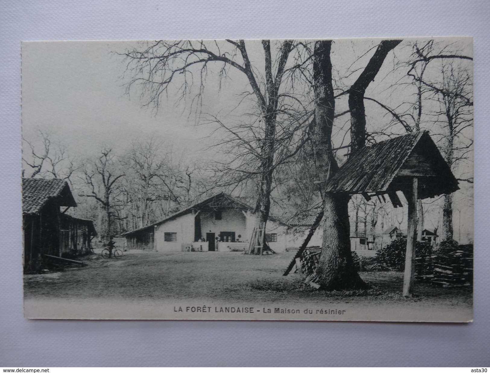 LA FORET LANDAISE     :   LA MAISON DU RESINIER     …asta 5-197 GJ - Autres & Non Classés