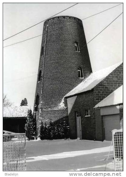 LUBBEEK (Vlaams-Brabant) - Molen/moulin - Fraai Winterbeeld Van De Stenen Romp Van Molen Moiné In 1985 - Lubbeek