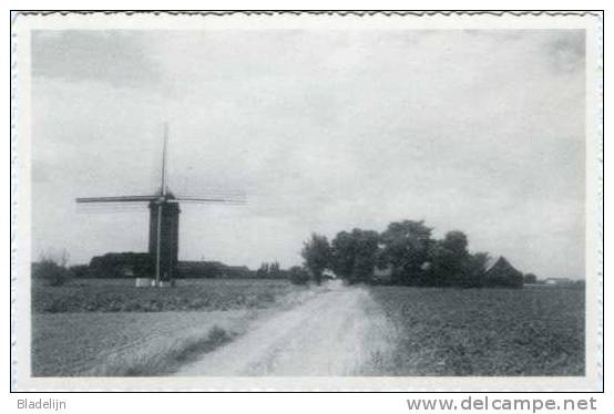 HUISE Bij Zingem (O.Vl.) - Molen/moulin/mill - De Huisekoutermolen Kort Na Zijn Oprichting In 1973-1975. - Zingem