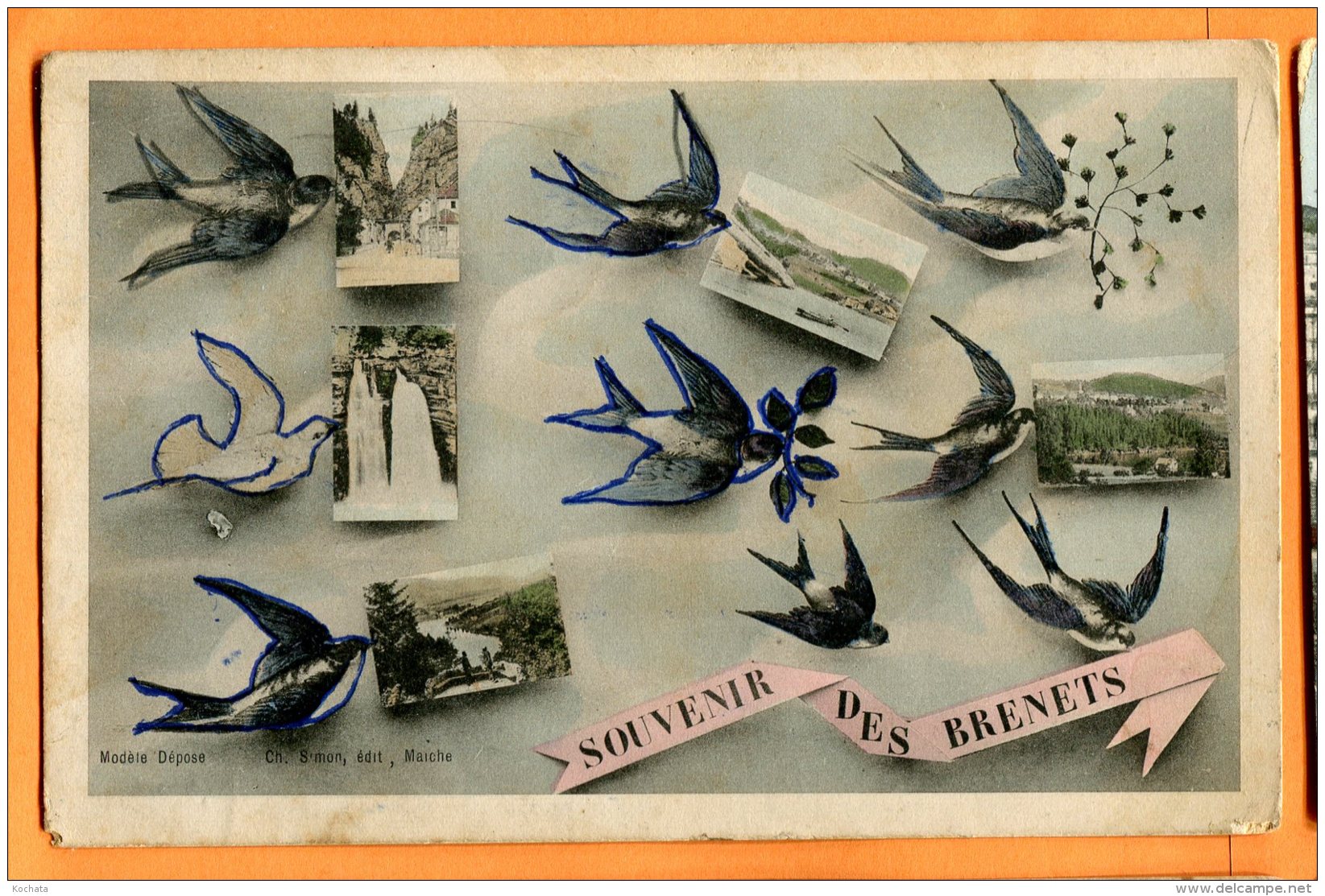 MAI066, Souvenir Des Brenets , Saut Du Doubs, Lac, Cascade, Hirondelle, Circulée 1906 - Les Brenets