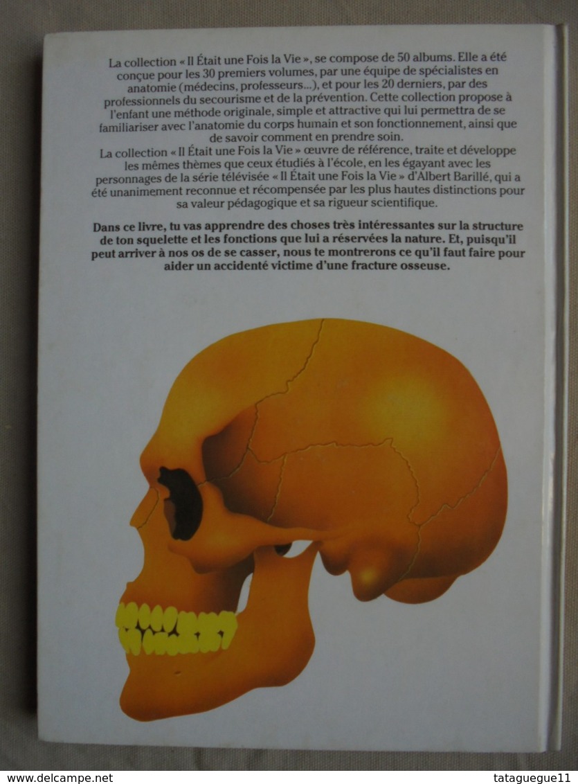 Ancien - Livre Le corps humain "Il était une fois la vie" Le squelette N°3 - 1991