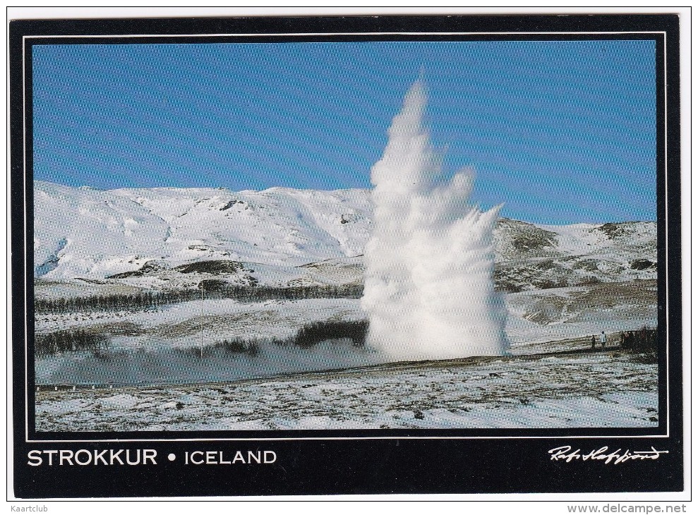 Strokkur ; The Old Faithfull Of  Iceland - Island - Springkilden Strokkur I Geysir - IJsland