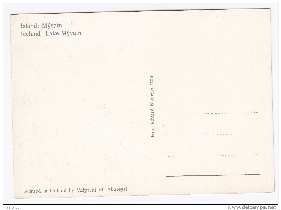 Iceland - Lake Mývatn  - Island - Mývatn - IJsland