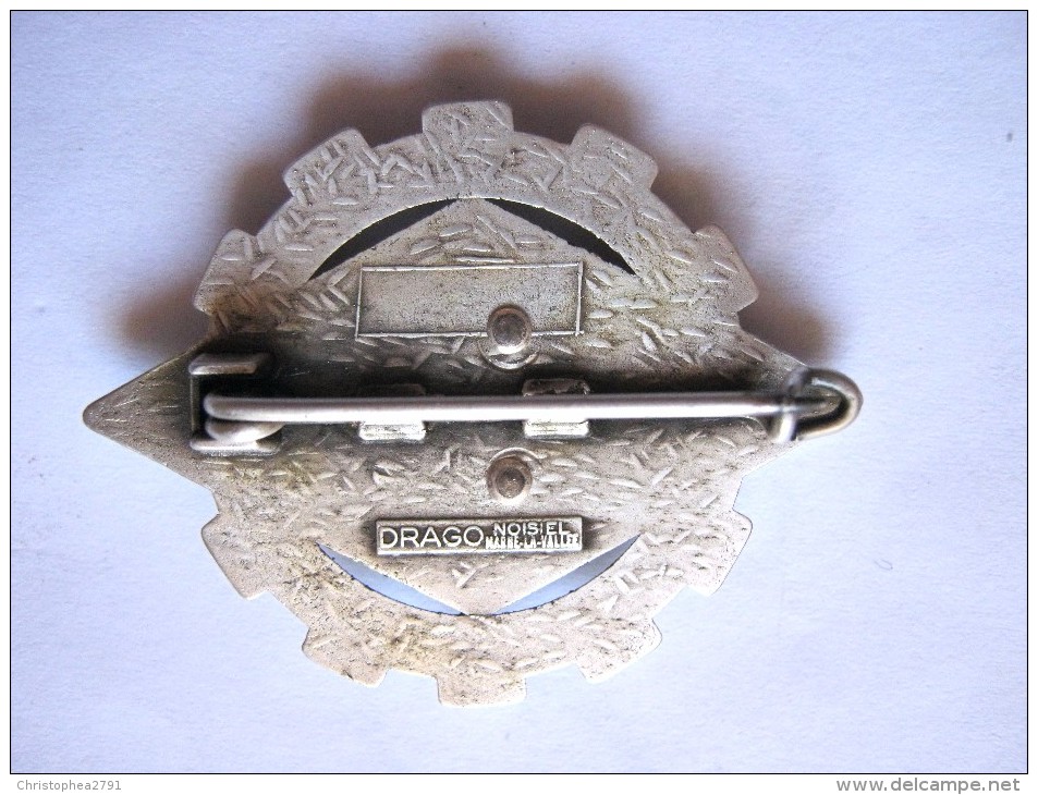 RARE INSIGNE LEGION ETRANGERE COMPAGNIE DE TRANSPORT 2/503 CTLE DRAGO MARNE LA VALLEE  ETAT EXCELLENT - Armée De Terre