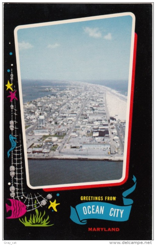 Greetings From Ocean City, Maryland, Unused Postcard [17158] - Ocean City