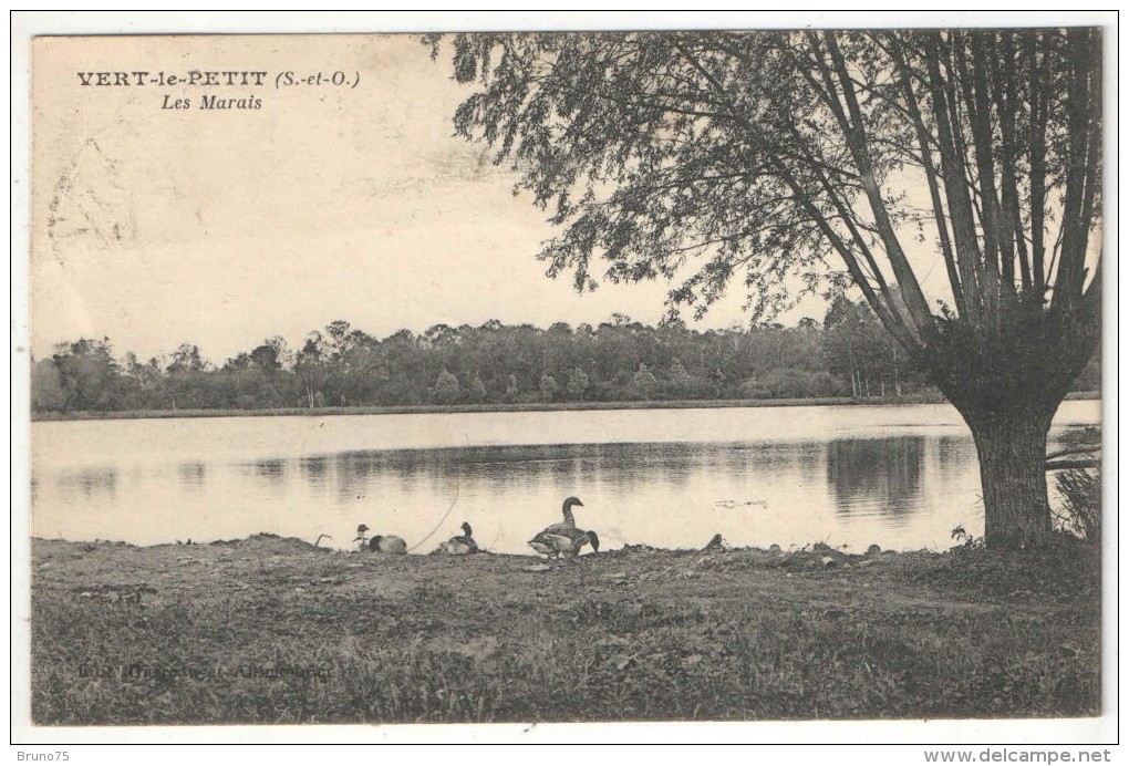 91 - VERT-LE-PETIT - Les Marais - 1923 - Vert-le-Petit