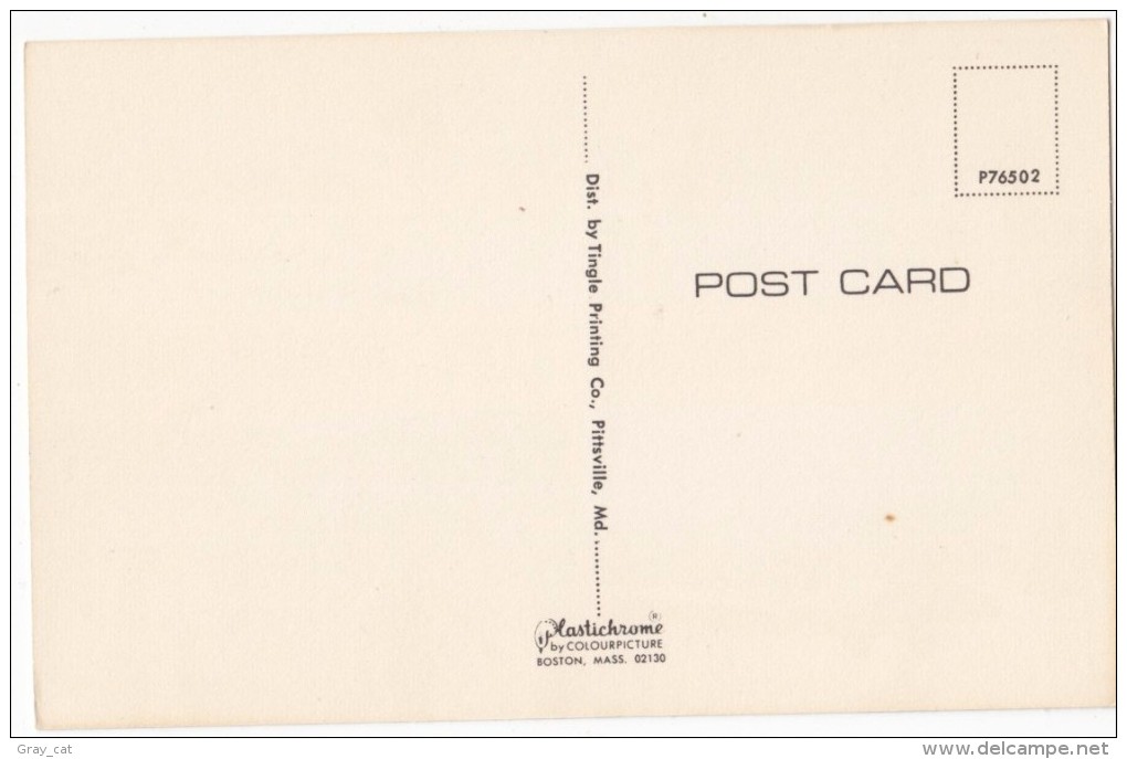 Greetings From Ocean City, Maryland, Unused Postcard [17164] - Ocean City