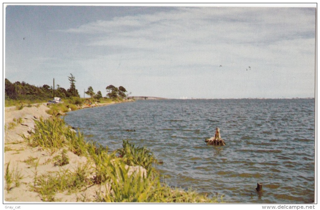Greetings From Ocean City, Maryland, Assawoman Bay, Unused Postcard [17172] - Ocean City