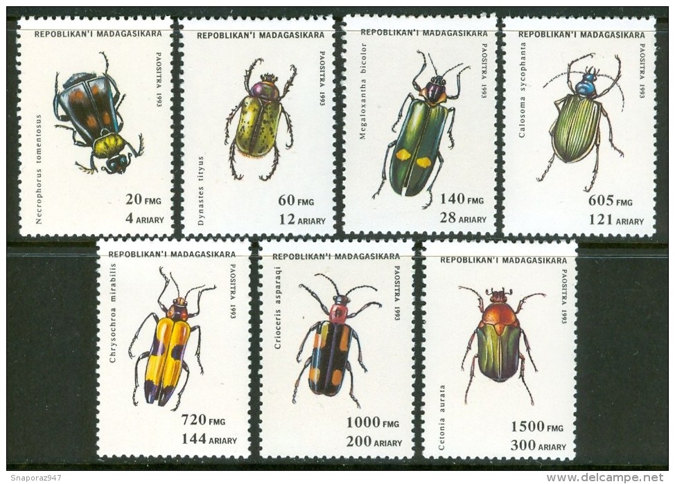 1993 Madagascar Coleotteri Colèoptères Beetles Insetti Insects Insectes Block MNH** -Qq16 - Coléoptères