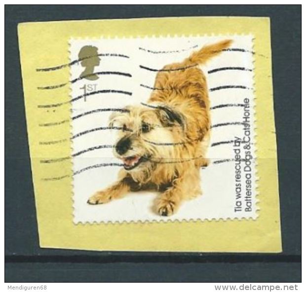 GROSSBRITANNIEN GRANDE BRETAGNE GB 2010 Battersea Dogs And Cats: Tia 1 St  SG 3045 SC 2766 MI 2909 YV 3293 - Used Stamps