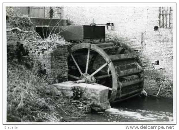 AAIGEM - Erpe-Mere (O.Vl.) - Molen/moulin - Echte Foto Van De Engelse Molen (ca. 1980) Met Ijzeren Bovenslagrad - Lugares