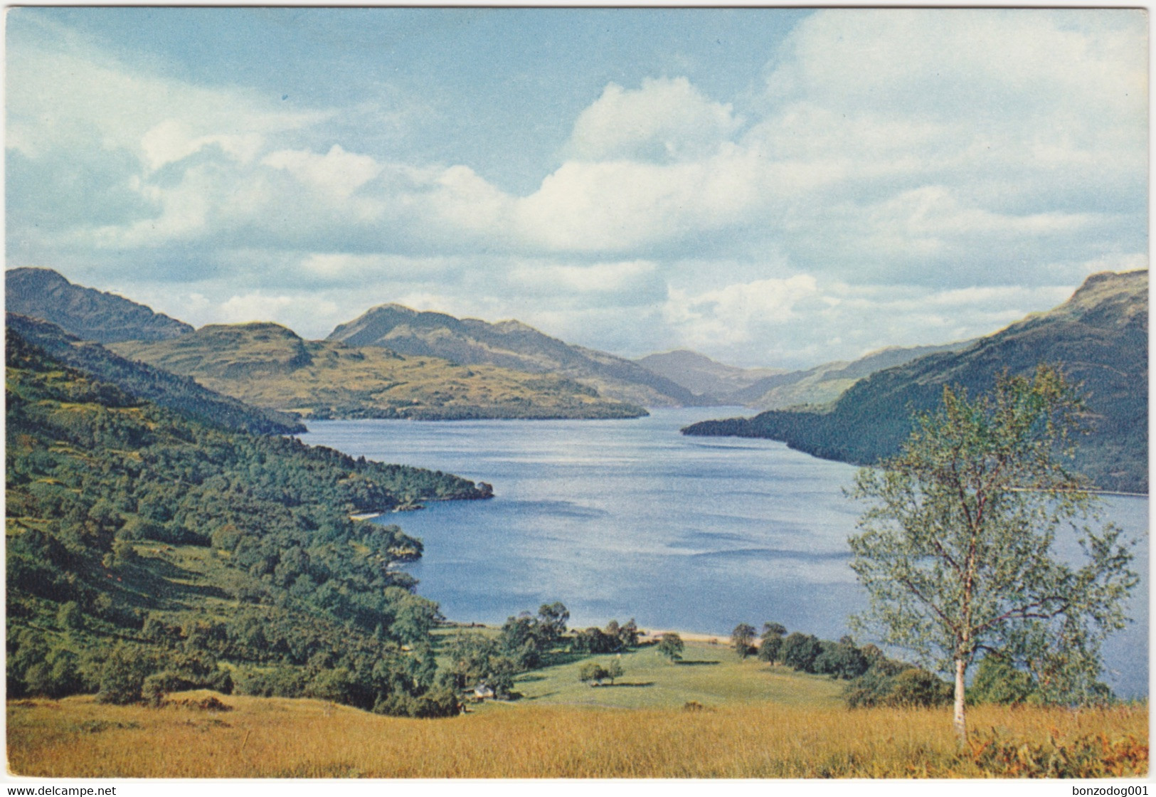 Loch Lomond Looking North, Dunbartonshire, Scotland. Unposted - Dunbartonshire