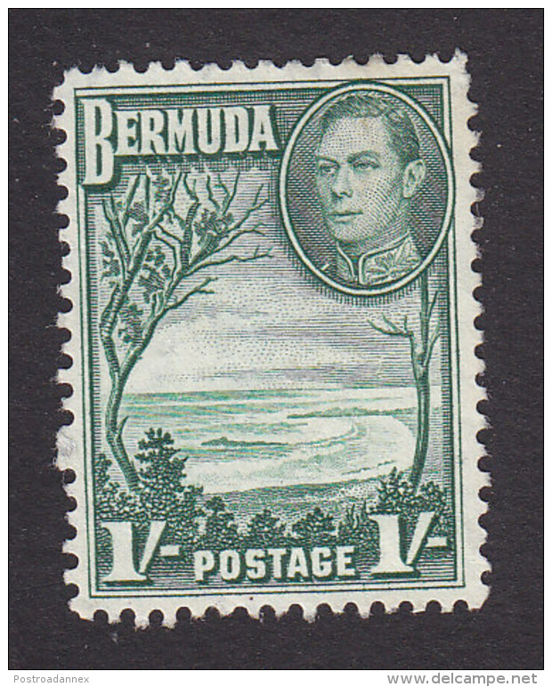 Bermuda, Scott #122, Used, Grape Bay, Issued 1938 - Bermudes