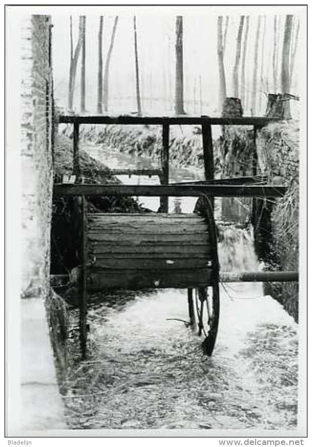 AAIGEM - Erpe-Mere (O.Vl.) - Molen/moulin - Echte Foto Van Watermolen ´De Waterrat´ (ca. 1980) Met Thans Verdwenen Rad - Lugares