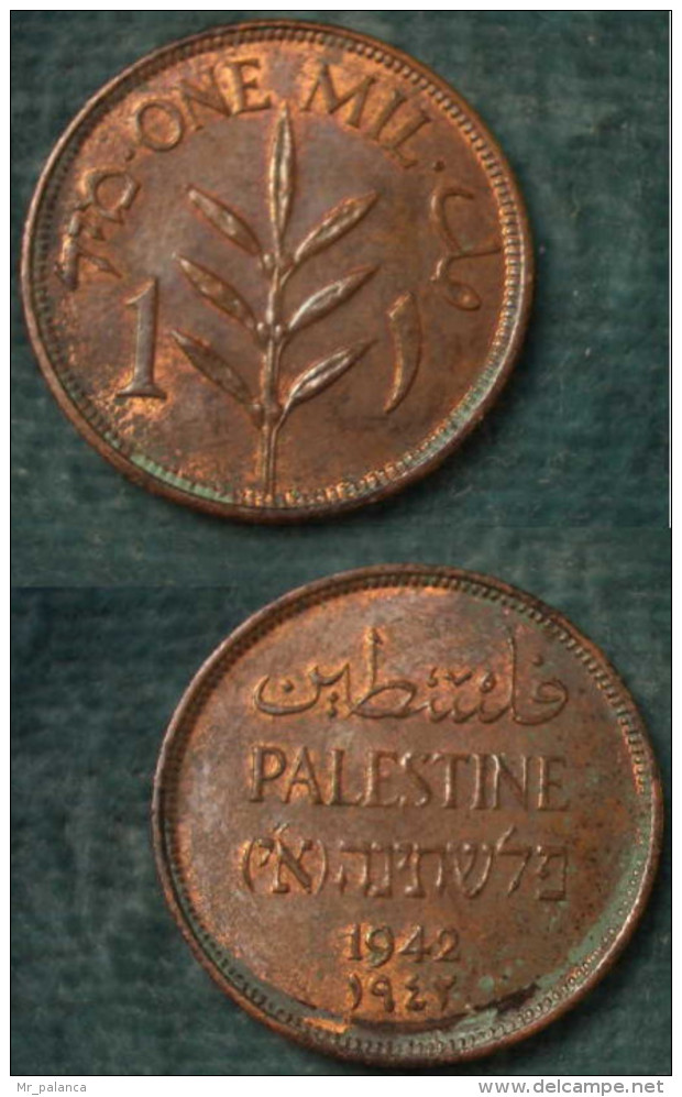 M_p> Palestina - Palestine 1 Mil 1942 - Bella Conservazione - Israele