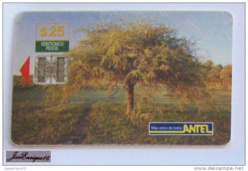 TC 51a TREE - ARBRE - ARBOL ALGARROBO - ANTEL URUGUAY - Uruguay