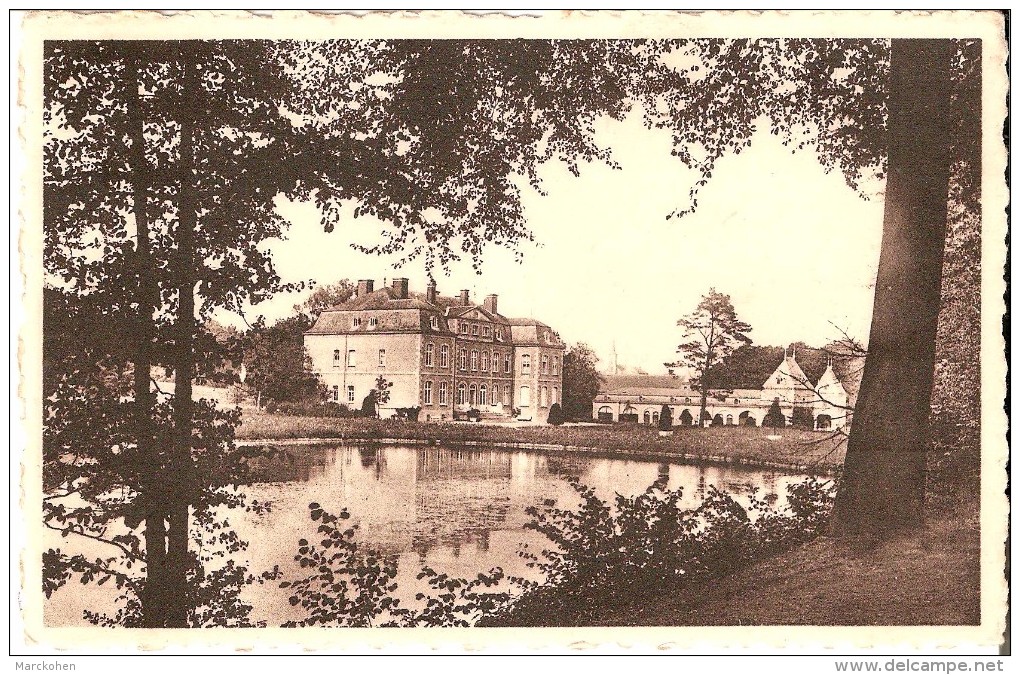 HAVELANGE (5370) - ELECTRICITE : Environs De Havelange - Le Château De Barvaux En Condroz. CPSM Dentelée. - Havelange